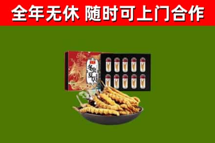 晋中回收冬虫夏草价格
